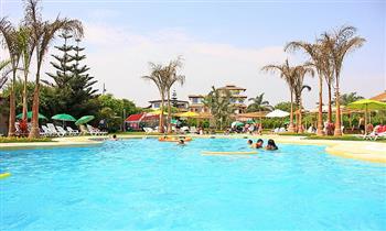 Full day guiado en el Fundo San Vicente para niño o adultos