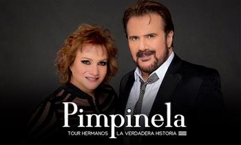 Entrada en zona a elegir al concierto de Pimpinela - Tour Hermanos