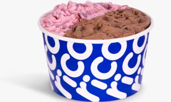 Microblading 9D para cejas