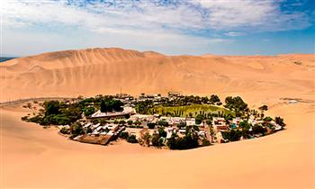 Ica city tour con transporte degustacion de vinos y Piscos Huacachina guia y mas
