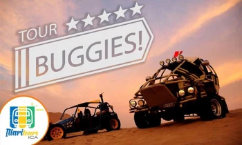 Microblading 9D para cejas