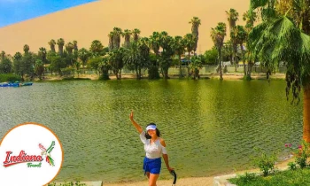 Microblading 9D para cejas