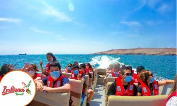 Full Day Paracas - Huacachina Transporte + guía + Desayuno + bodega + Show y más