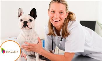 Curso online de Auxiliar de apoyo veterinario con International Open Academy