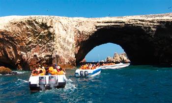 ¡Año Nuevo! Full day Paracas - Ica - Chincha