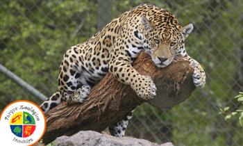Entrada para niño o adulto al Zoologico de Huachipa y al Acuario