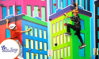 Microblading 9D para cejas