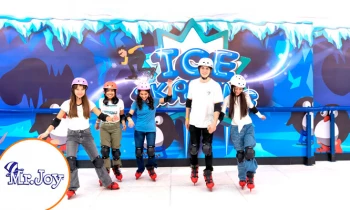 Microblading 9D para cejas