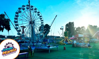 Microblading 9D para cejas