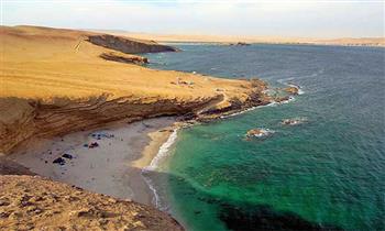Full Day en Playa La Mina playa hermosa en la Reserva de Paracas