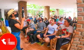 Microblading 9D para cejas