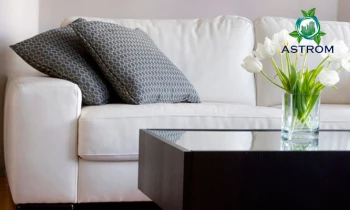 Microblading 9D para cejas