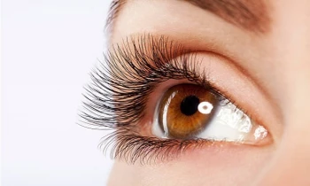 Microblading 9D para cejas