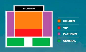 Microblading 9D para cejas