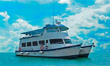 Tour Marino a Isla Palomino nado con lobos marinos buceo profesional