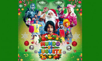 Microblading 9D para cejas