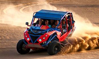 Full Day Paracas - Huacachina – Chincha servicio VIP preferencial desayuno y mas