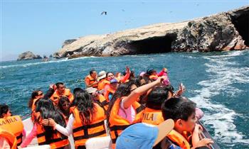 Full day en Ica -Paracas - Islas Ballestas y mas