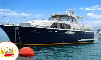 Full day de playa en Yate, nada con lobos marinos en Islas Palomino