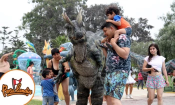 Microblading 9D para cejas