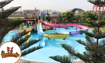 Microblading 9D para cejas