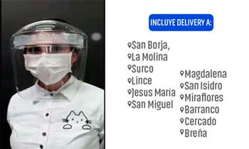 Protector total para el rostro delivery