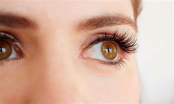 Extension de Pestañas Pelo a Pelo Look Natural en Queen of Lashes