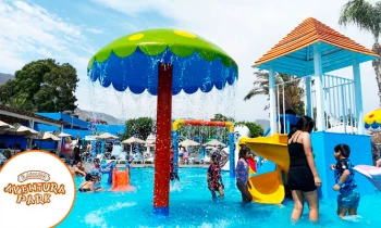 Microblading 9D para cejas