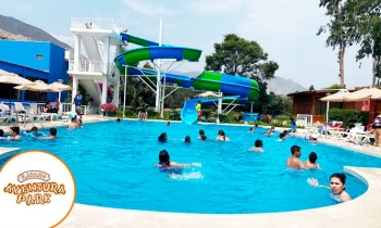 Microblading 9D para cejas