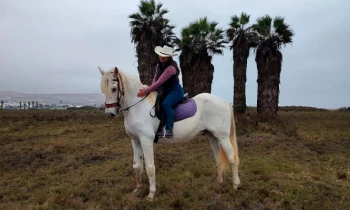 Microblading 9D para cejas