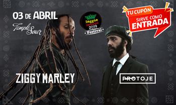 Entrada al concierto de Ziggy Marley - Zona a elegir con Work shows