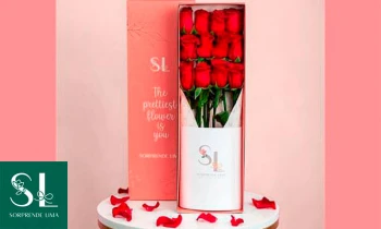 Microblading 9D para cejas