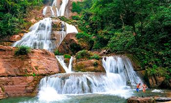 Selva Central 2D/1N ¡Disfruta toda la magia de nuestros recursos naturales!