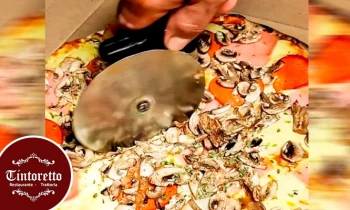 Microblading 9D para cejas