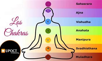 Clase online de Chakras en 30 horas con UPOCT E- Learning
