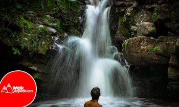 Microblading 9D para cejas