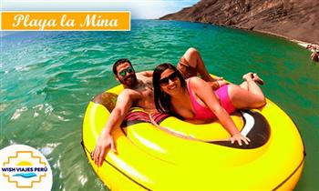 Full Day Paracas-Huacachina Incluye Transporte turistico guia