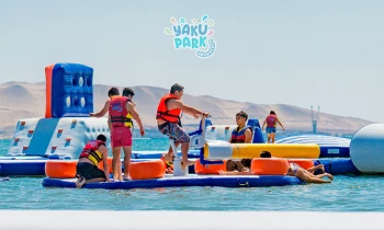 Microblading 9D para cejas