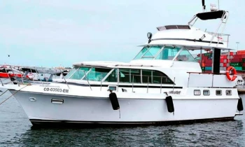 Microblading 9D para cejas