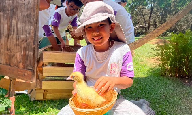 Full day para niño o adulto en GRANJA  INTERACTIVA EL ARRIERITO.
