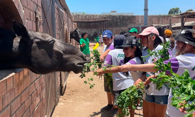 Full day para niño o adulto en GRANJA  INTERACTIVA EL ARRIERITO.