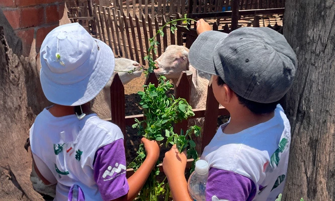 Full day para niño o adulto en GRANJA  INTERACTIVA EL ARRIERITO.