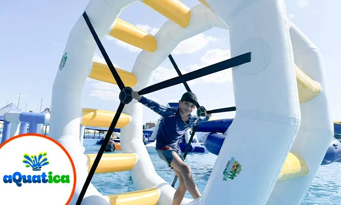 AQUATICA POOL PARK ICA: Full diversión para un niño o adulto