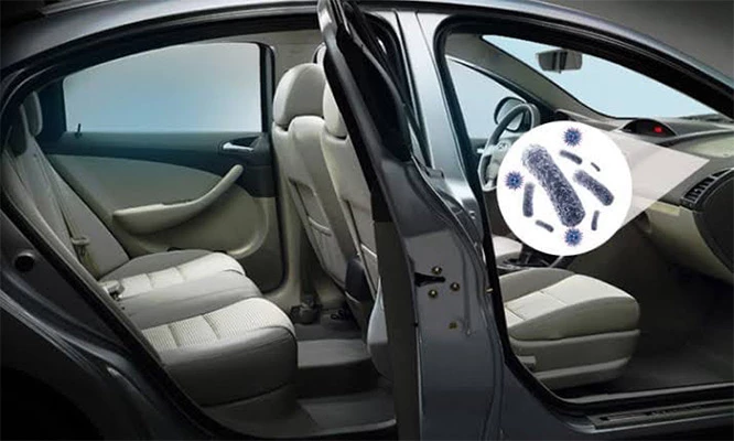 Lavado de salón profesional: Lavado de asientos, techo, carrocería y más