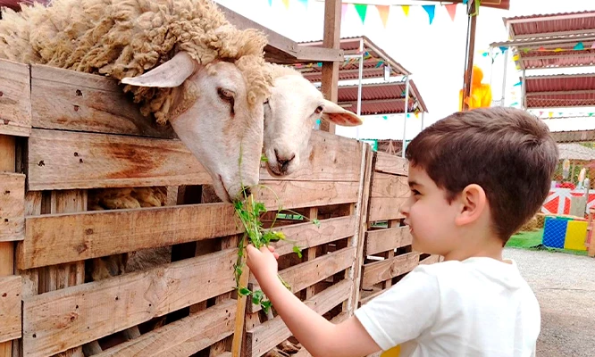 Ecogranjita: Diversión para los engreídos + 1 acompañante en Inflables, paseo a caballo, interacción con animalitos y más.