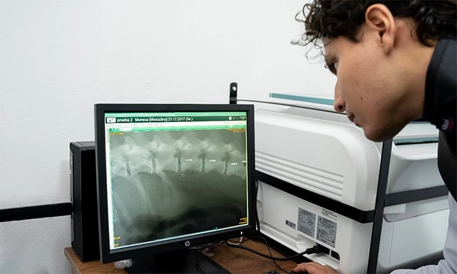 RAYOS X DIGITALIZADOS para tus mascotas en Radiovet