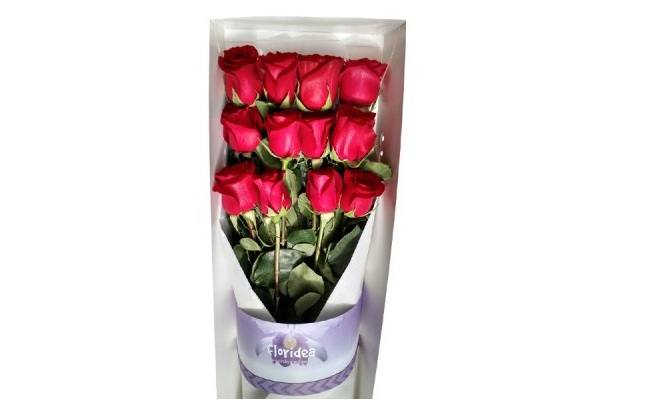 Caja de 12 rosas con follaje peluche de osito y delivery