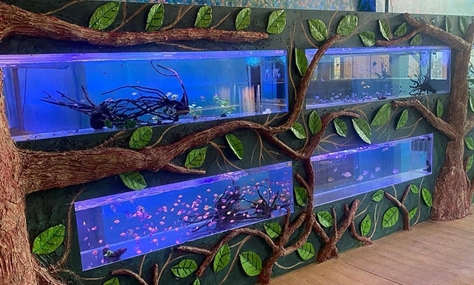 Acuario Nautilus Entrada general COMAS