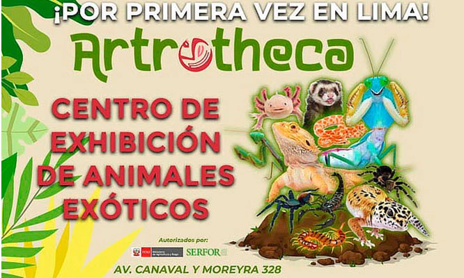 ARTROTHECA Centro de Exhibición de animales Exóticos e Insectos DE MARTES A VIERNES