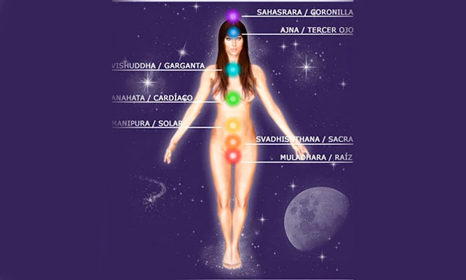 Biomagnetismo médico – terapia con imanes en 2 sesiones